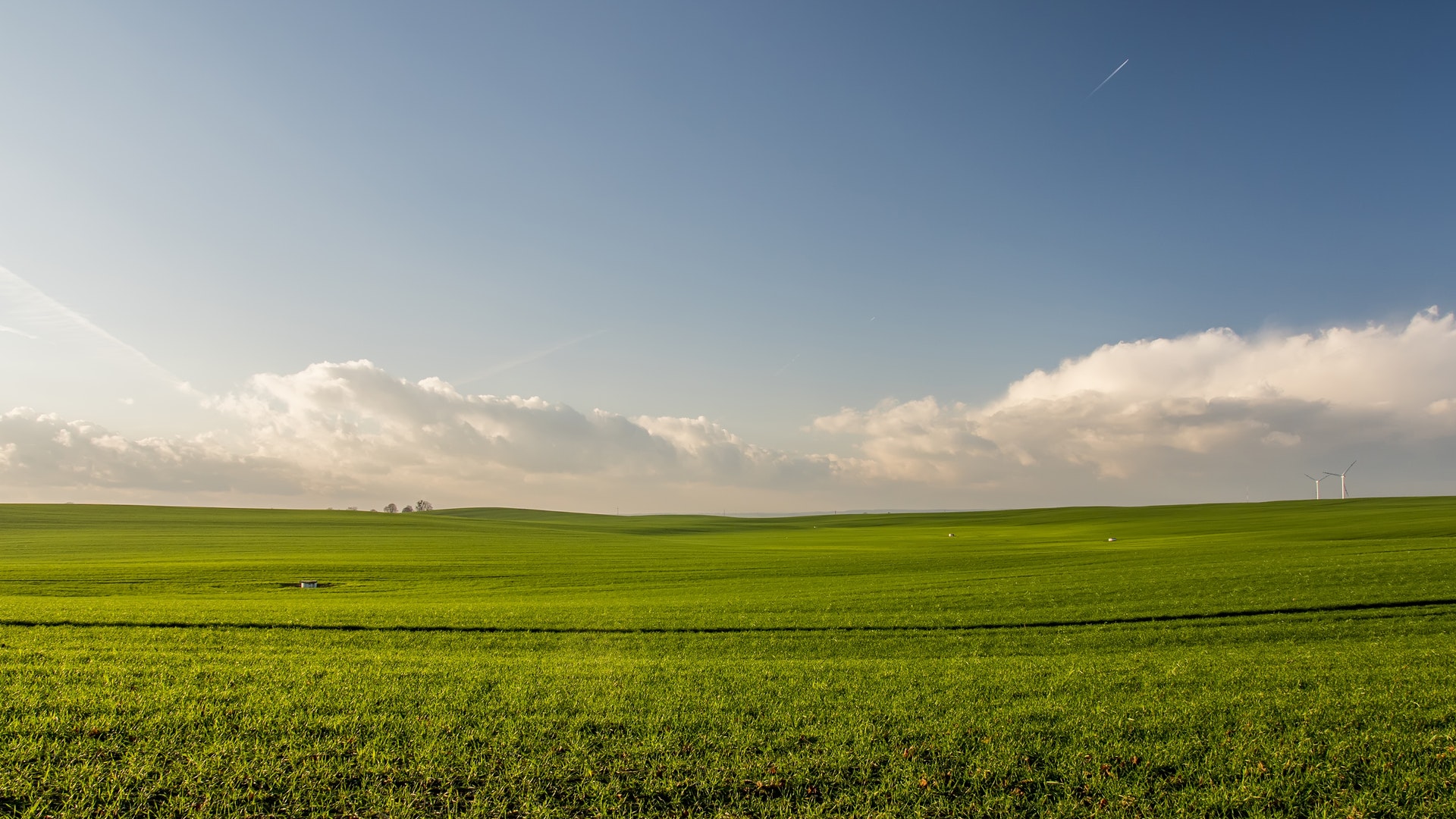 Field Background